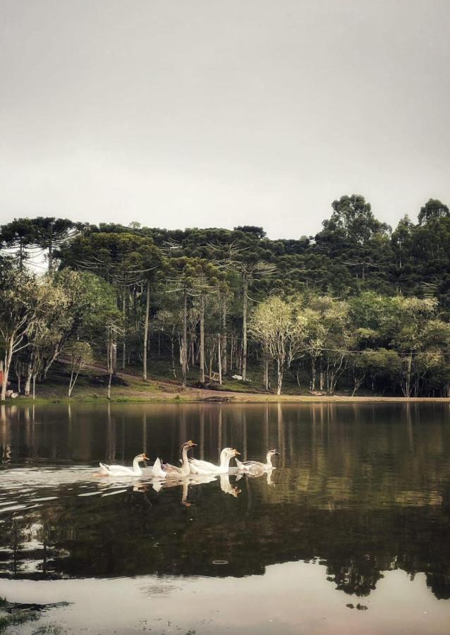 Lodge Recanto Folhas - Oasis Cambara do Sul